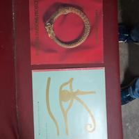 vinili Alan Parson proget