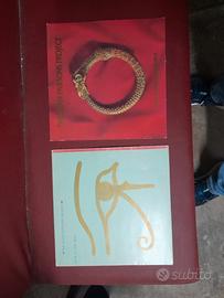 vinili Alan Parson proget