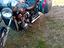 Immagine 2