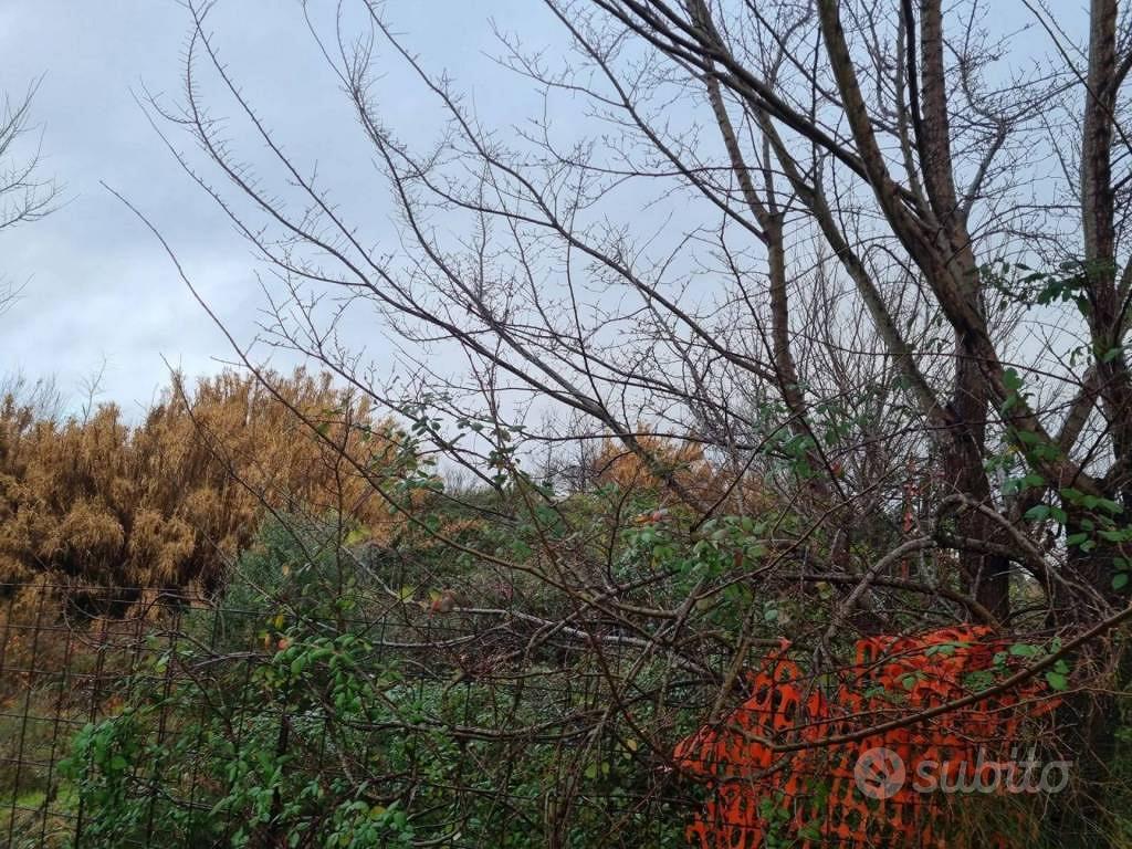 Immobile in asta di 4245 m² a Ponsacco - Vista 5