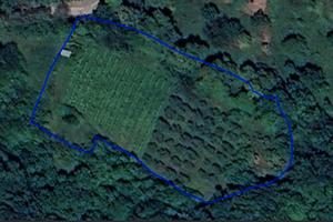 Terreno agricolo adibito a Vigna e Uliveto