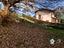 Immagine 22