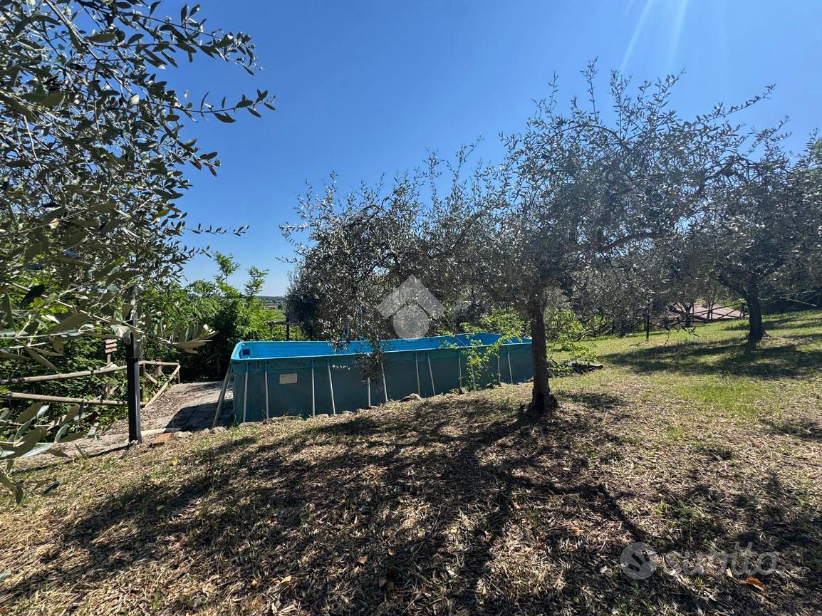 Casa – Arquà Petrarca - Vista 4