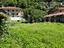 Immagine 14