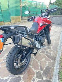 Triunph Tiger 900 GT Pro