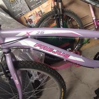 Bicicletta  Frejus X 26