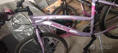 Bicicletta  Frejus X 26