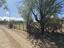 Immagine 19