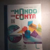 un mondo che conta matematica 