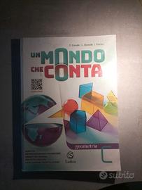 un mondo che conta matematica 