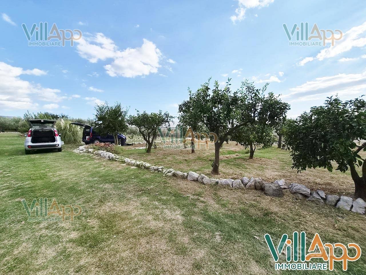 Terreno Agricolo - Fondi - Vista 3