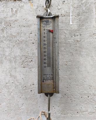 bilancia USA con pesata in libre 