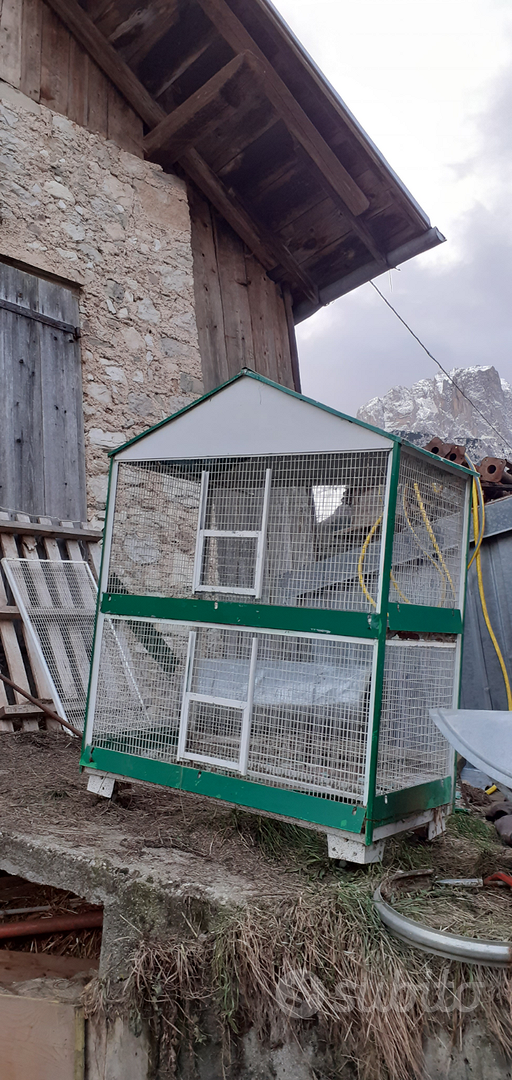 Sabbia Igienica LindoCip Per Uccelli - 4 Buste Da 5kg | Assorbente E Profumata - Foto 9