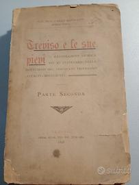 libro Treviso e le sue pievi 