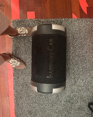 Cassa subwoofer da auto harmony car