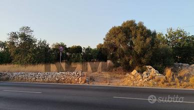 Terreno - Ragusa