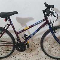 MTB Extreme
