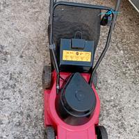 Tagliaerba elettrico