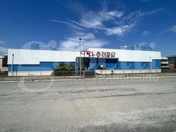 Capannone Industriale Rovigo [Cod. rif 3247110VCG]