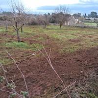 Effettuo, taglio erba ,potature, arature