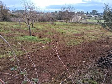 Effettuo, taglio erba ,potature, arature