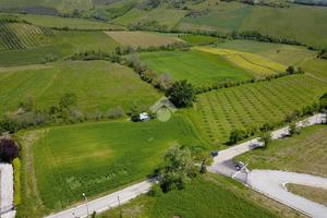 TER. AGRICOLO A RIMINI