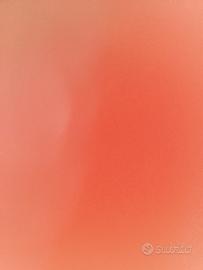 monopattino elettrico vivo bike pieghevole 