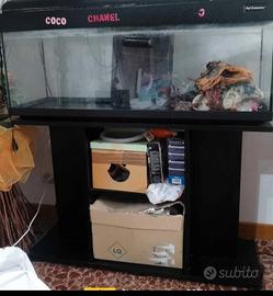 Acquario 100L