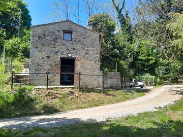 Terreno agricolo con annesso