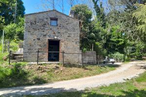 Terreno agricolo con annesso