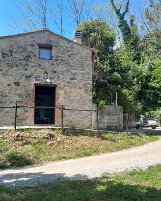 Terreno agricolo con annesso