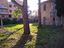 Immagine 11