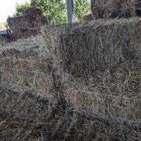 Fieno presse rettangolari