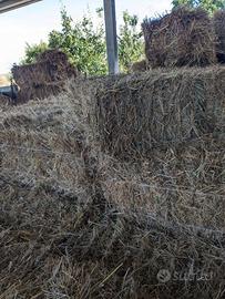 Fieno presse rettangolari