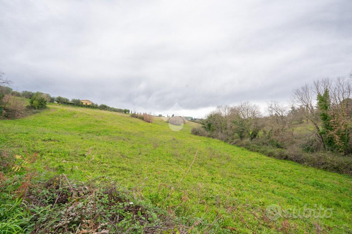 TER. AGRICOLO A SACROFANO - Altro