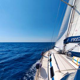 Bavaria 44