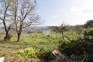 TER. AGRICOLO A AGROPOLI