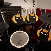 Batteria roland td4
