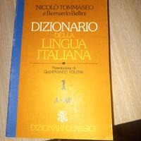 dizionario lingua italiana 