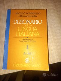 dizionario lingua italiana 