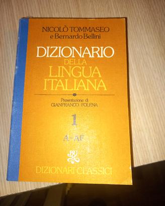 dizionario lingua italiana 