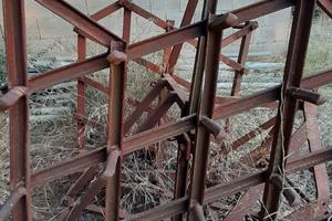 Erpice dentato