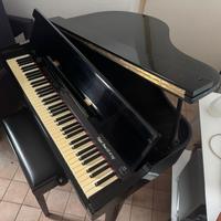PIANOFORTE DIGITALE A CODA NERO