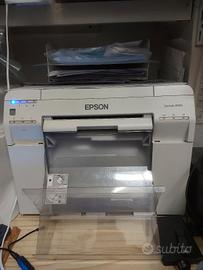 Epson Sure Lab D700