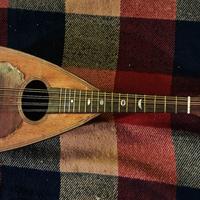 Mandolino Antonio Vinaccia, 1888