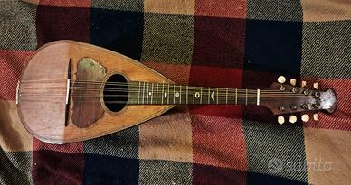 Mandolino Antonio Vinaccia, 1888