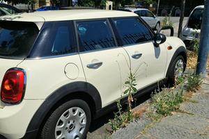  Mini D.