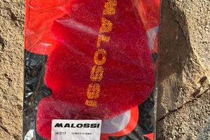 Spugna filtro rossa Malossi