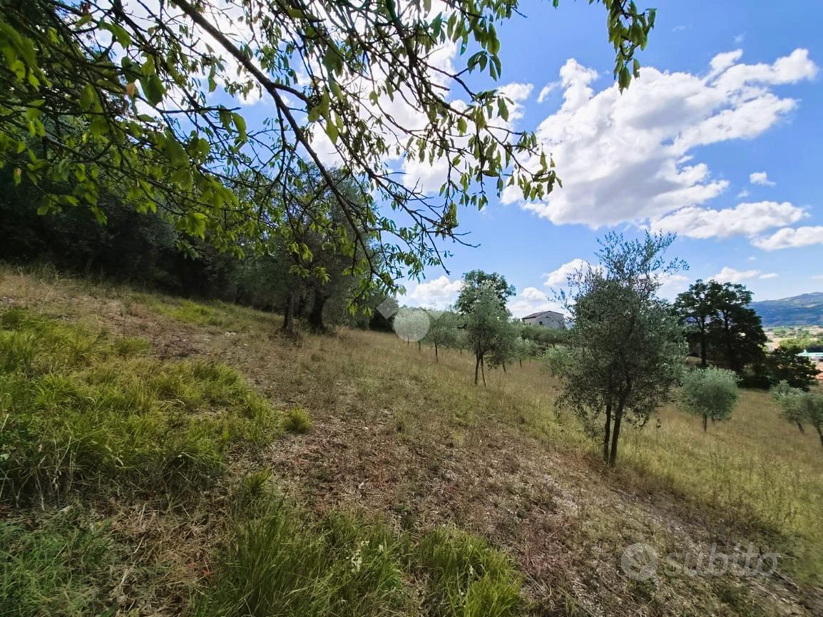 TER. AGRICOLO A GUBBIO - Altro