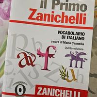 dizionario